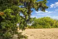 Parcelas 6 000 m² Kassandrino, Grecia
