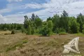 Grundstück  Znamienski sielski Saviet, Belarus