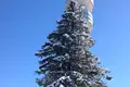 2 bedroom apartment 136 m² Chepelare, Bulgaria