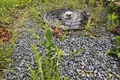 Дом 55 м² Летчанский сельский Совет, Беларусь