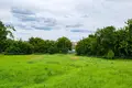 House 44 m² Mir, Belarus