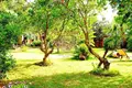 Villa 3 pièces 70 m² CadeseddaCalasetta, Italie