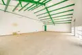 Almacén 1 439 m² en Novelda, Španjolska