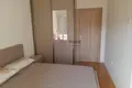 1 bedroom apartment  Podgorica, Montenegro