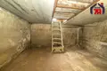 House 94 m² Nasilava, Belarus