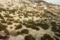 Land 733 m² Pag, Croatia