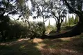 Land 1 room  Valanio, Greece