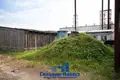 Производство 856 м² Приямино, Беларусь