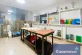 Warehouse 1 008 m² in Alicante, Spain