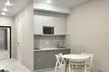1 room apartment 29 m² Minsk, Belarus