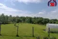 Haus 67 m² Nasilava, Belarus