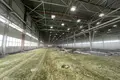 Propiedad comercial  en Jelgava, Letonia