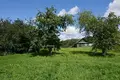 Grundstück  Vyhanicy, Belarus