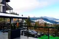 Коммерческое помещение 700 м² Поляница, Украина