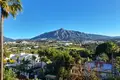 Mieszkanie 3 pokoi 229 m² San Pedro Alcantara, Hiszpania
