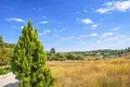 Atterrir 30 000 m² Kassandrino, Grèce