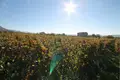 Земельные участки 4 389 м² Kastel Stari, Хорватия