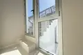 Bliźniak  Icod de los Vinos, Hiszpania