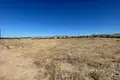 Land  Timi, Cyprus
