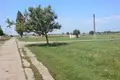 Construction / Industrial Land in Romania With a Strategic Location For 3 Countries