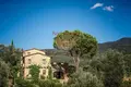 Propiedad comercial 782 m² en Seggiano, Italia