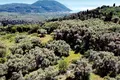 Villa de 9 pièces 119 m² Agios Petros, Grèce
