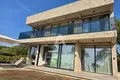Villa de 4 dormitorios  en Montenegro, Montenegro