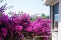 4 bedroom house 280 m² Ulcinj, Montenegro