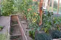 House 54 m² Luhavaslabadski sielski Saviet, Belarus