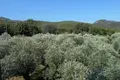 2 bedroom apartment  Rachoni, Greece