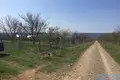 Działki 1 pokój 2 m² Protopopivka, Ukraina