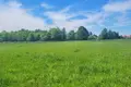 Земельные участки  Smolice, Польша