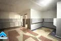 Wohnung 1 zimmer 35 m² Masyr, Belarus