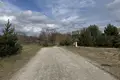 Atterrir 1 076 m² Borowiec, Pologne