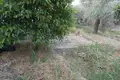 Działki  Region Macedonia Wschodnia i Tracja, Grecja