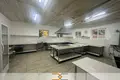Cottage 363 m² Ozyaritska-Slabadski rural council, Belarus