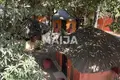 Villa  Warang, Senegal