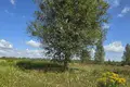 Dom 66 m² Blonski sielski Saviet, Białoruś