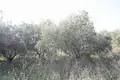 Atterrir 3 659 m² Kastel Stafilic, Croatie