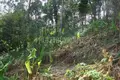 Atterrir  Sakhu, Thaïlande