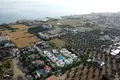 Residential quarter Olive Garden