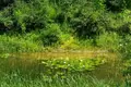 Земельные участки  Даниловград, Черногория