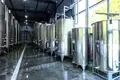 🏭 Продаётся современное винодельческое предприятие – в Греми, Кахетия