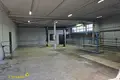 Nieruchomości komercyjne 222 m² w Mińsk, Białoruś