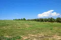 Land 8 000 m² Kassandrino, Greece