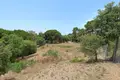 Land  Artola, Spain