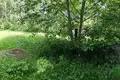 Land  Aliachnovicki sielski Saviet, Belarus