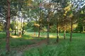 Parcelas  Smolice, Polonia