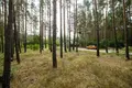 Parcelas 1 habitación 9 812 m² Otwock, Polonia