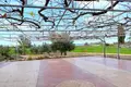 Maison 3 chambres 240 m² Paphos, Chypre